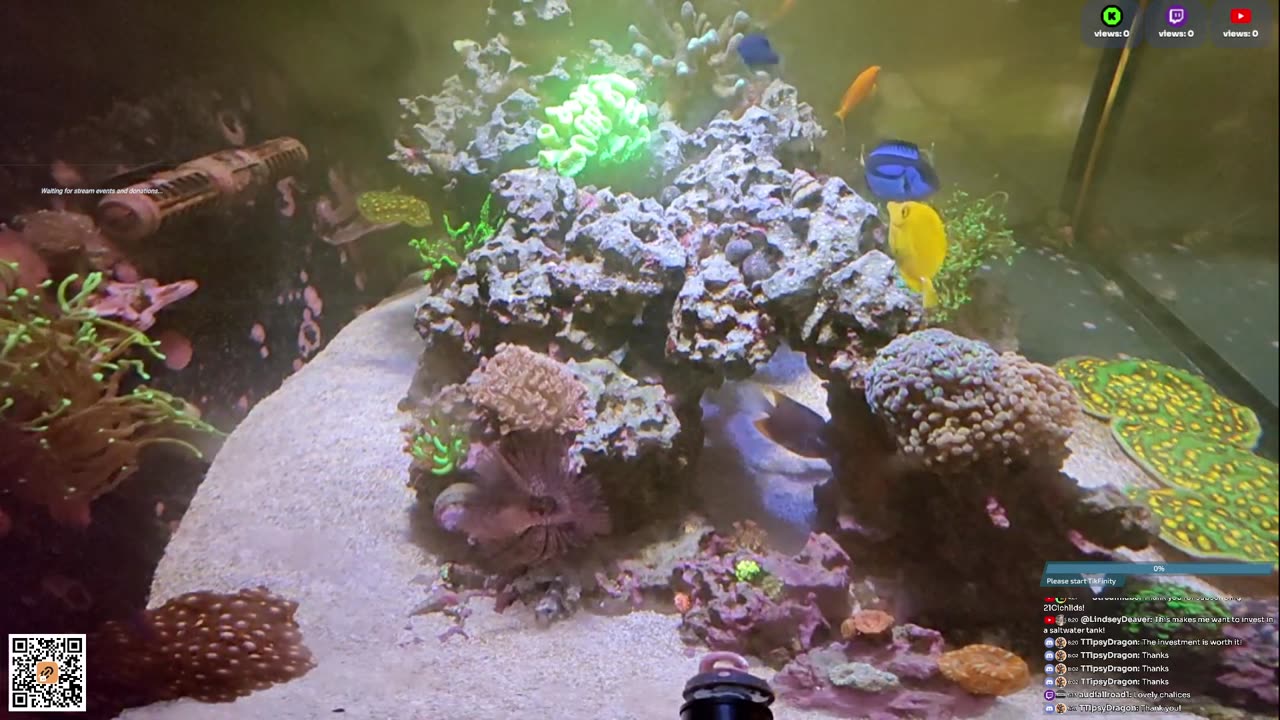 24/7 Real Live Reef Stream