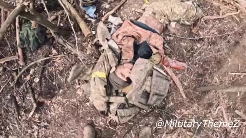 Ukraine war combat footage 11/4/25