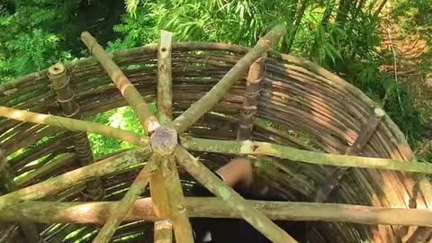 Master of Survival🔥 He didn’t build a house he grew one!