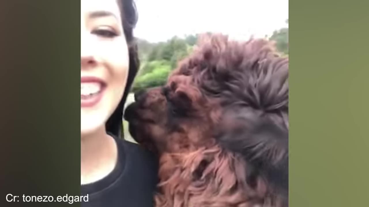 the-funniest-animal-and-human-videos-2025-that-will-blow-your-mind