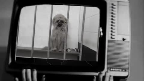 😱👻 You Won't Believe What They Caught on Camera! Creepy Paranormal | TheHauntingHour