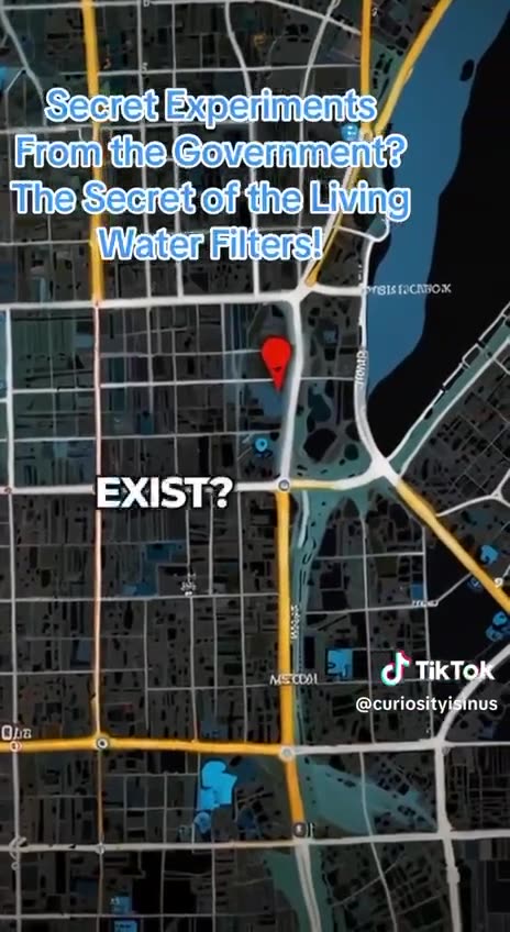 BIOENGINEERING EXPERIMENTS