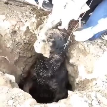 Tag the friend you want to see 😂😍