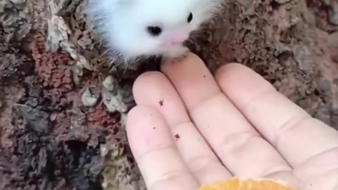 Hey little one.. 🥹🥰