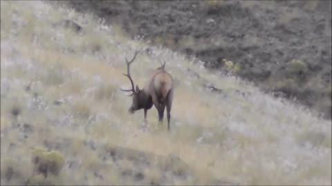 Idaho archery elk hunt episode 1