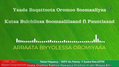 Qophii Addaa ONM-ABO Guraandhala 26-2025 itti dhiyaadhaa!