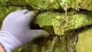 😲🕵️‍♂️ Shocking Discovery: What’s Hidden in Plain Sight? | TheTruthAbove