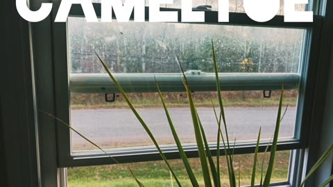 Iron sharpens iron- Camel toe