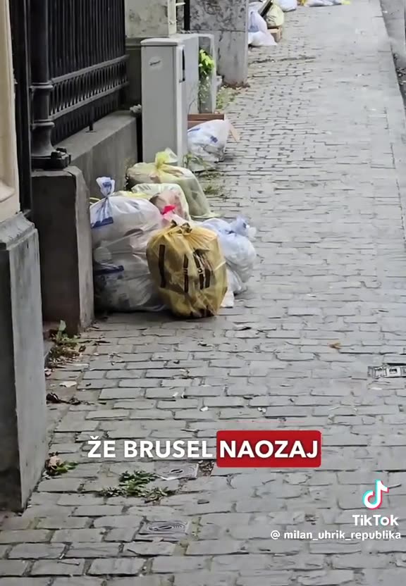 Slovenský europoslanec Milan Uhrík - Smetí v Bruselu