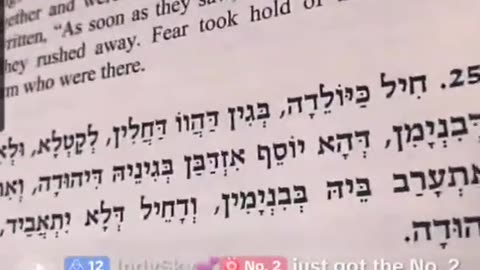 Noon Zohar. R' ALEPH LIVE TikTok 🔥For the kings were assembled. (VAYIGASH 3) 12/4/25