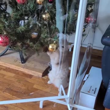 When you are full of Christmas spirit 🤣