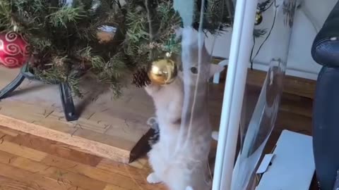 When you are full of Christmas spirit 🤣