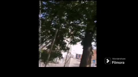Otro fan de Morad que puso mala cara al verme con el perro se pone a coger piedras cuando regresamos