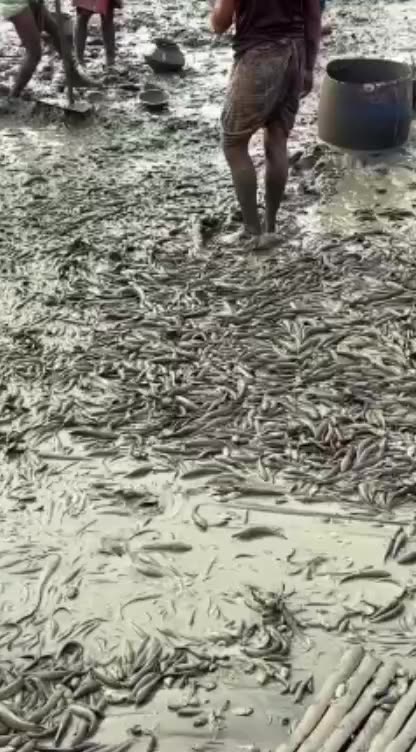 funny funny videos funny names funny animalsfunny funny videos funny names