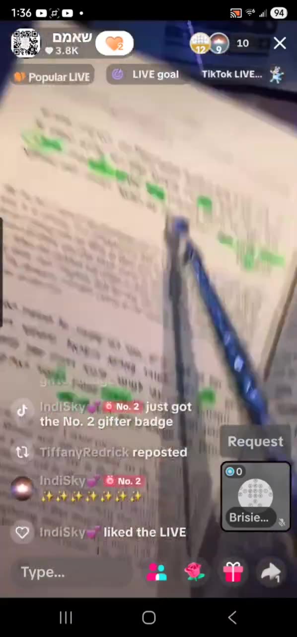 And Israel beheld Yosef's sons. VAYECHI 12. R' ALEPH 🤍 ✨️