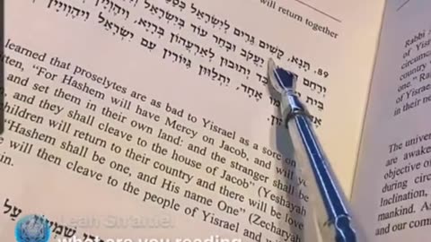 And Israel beheld Yosef's sons. VAYECHI 12. R' ALEPH 🤍 ✨️