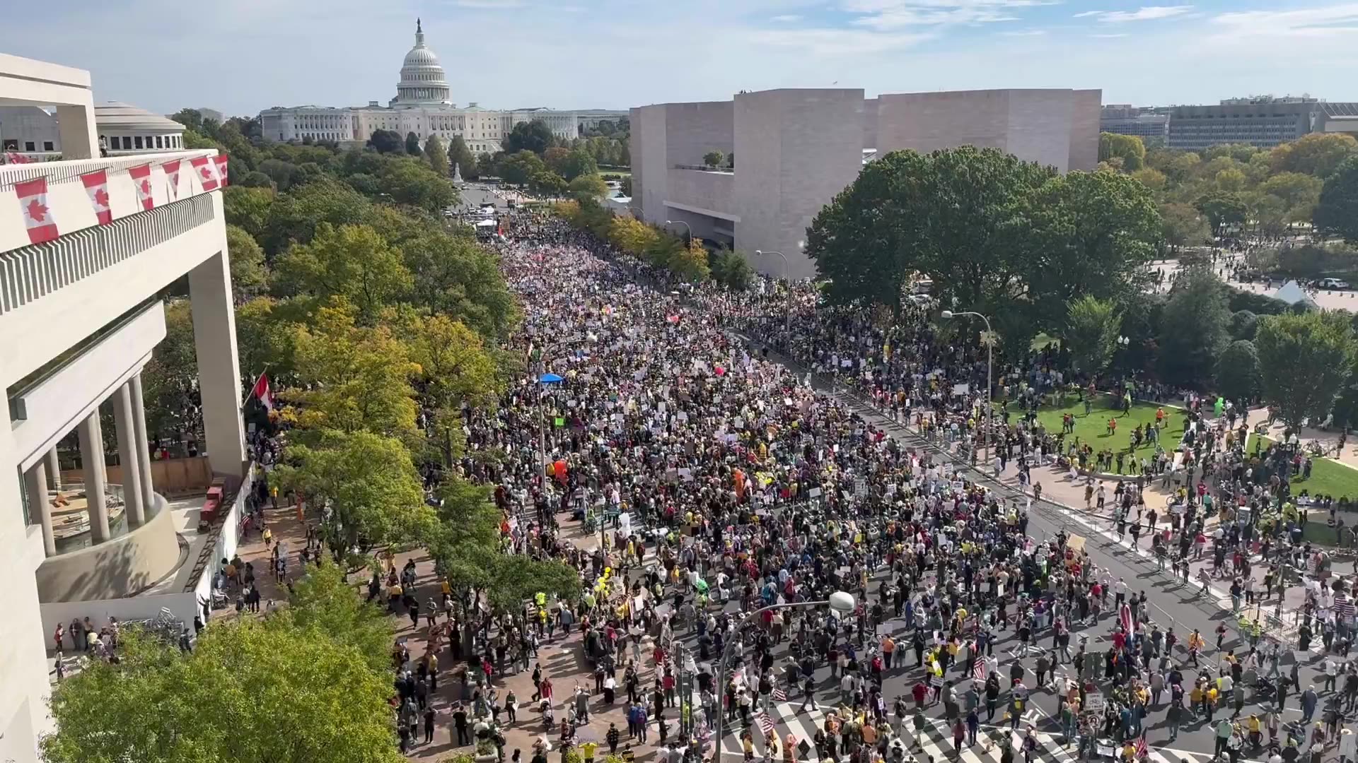 "No Kings" protest in Washington, D.C.