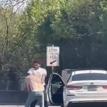 🚨🚗 TRAFFIC FIGHT IN GEORGIA
