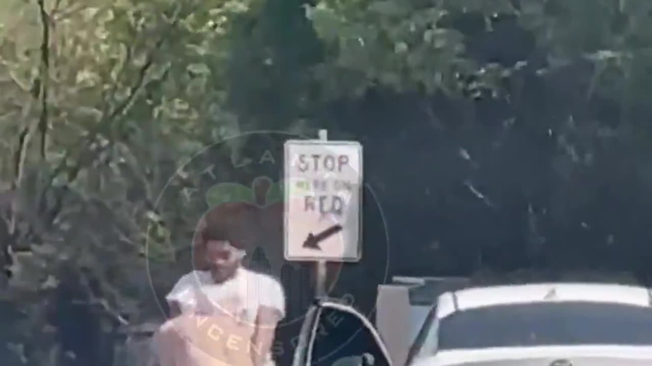 🚨🚗 TRAFFIC FIGHT IN GEORGIA