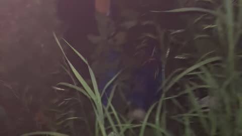 Man Falls Off Fence After Removing Sign