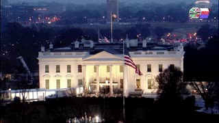 TWO CATS U.S. POLITICAL NEWS