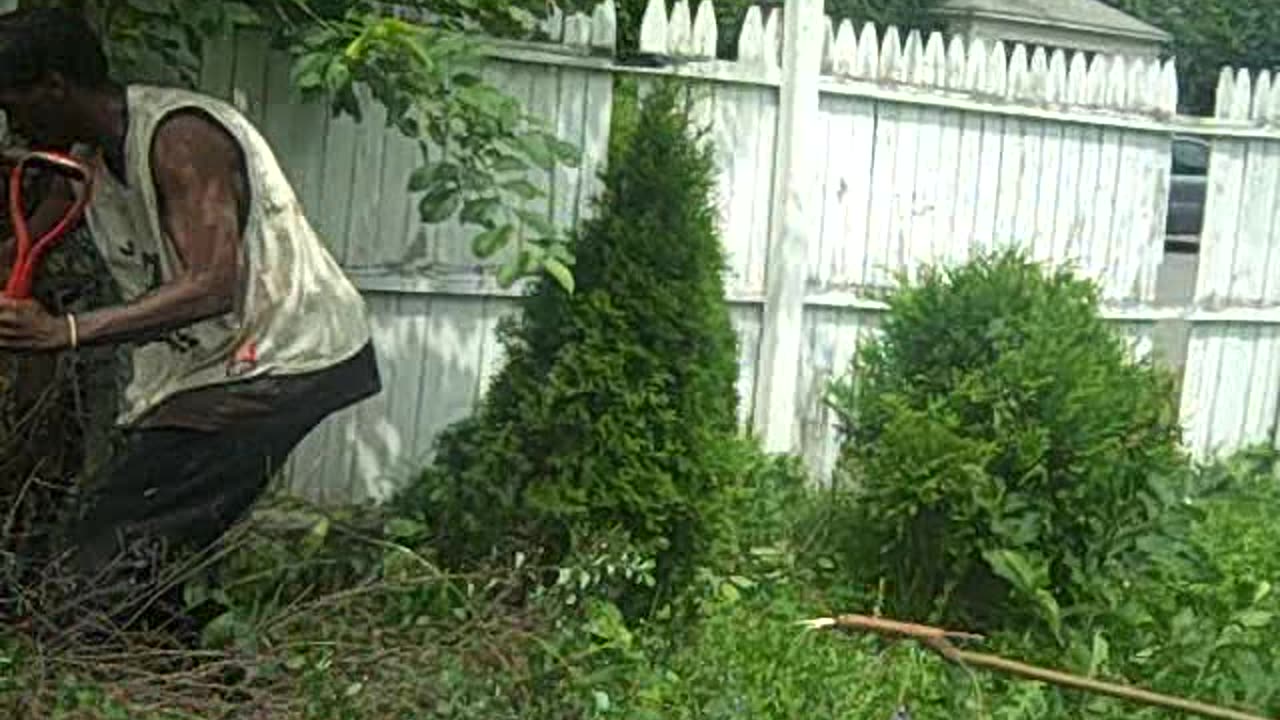 Mendota st, shea show