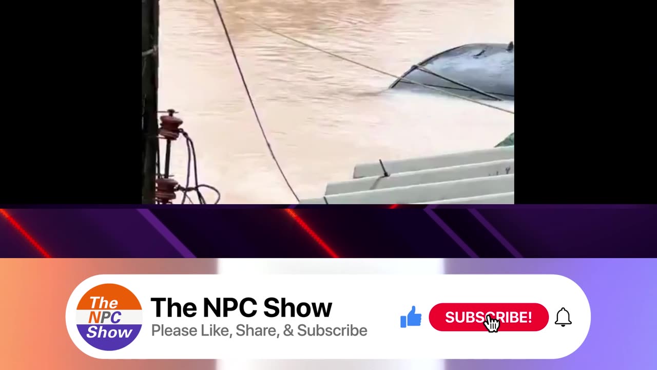 Huskey Gets Rescued From MASSIVE Flood 🌊🐕🧑‍🚒