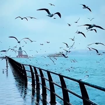 Beautiful ocean - beautiful place view for date