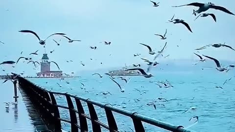 Beautiful ocean - beautiful place view for date