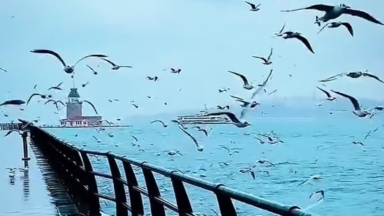 Beautiful ocean - beautiful place view for date