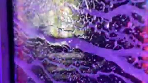 People & blogs, comedy..