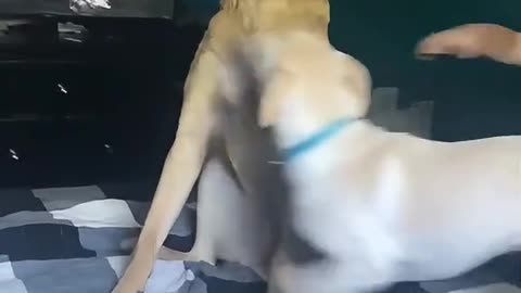 SPORADIC SATURDAY 11/1/25