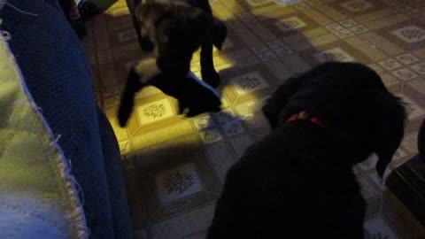 Hanging out with the girls