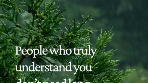 When someone gets you—words become unnecessary 💭