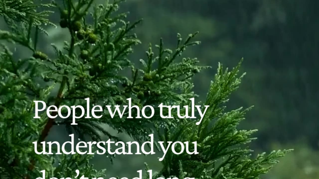 When someone gets you—words become unnecessary 💭