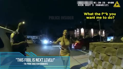 DUI Driver Does A Martial Arts CRANE STANCE On A Sobriety Test Then This Happened