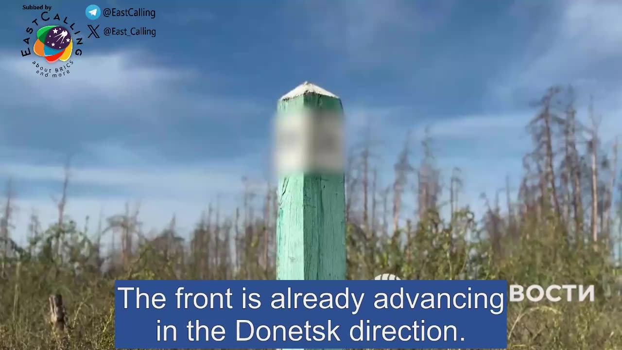 Translated video from Serebryansky forestry