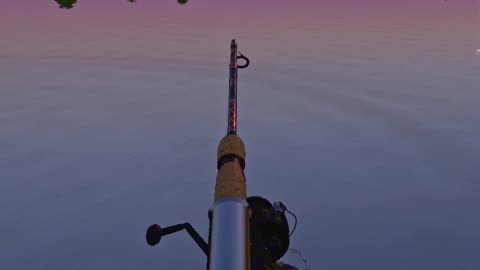 My mistake, the fishing rod is broken, Russian Fishing 4, PC game