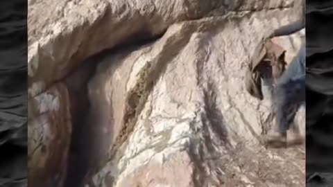 😱👻 The Scariest Paranormal Encounters! Part 53 | TheHauntingHour