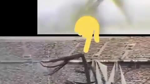 1992 Barcelona Olympic games opening ceremony...