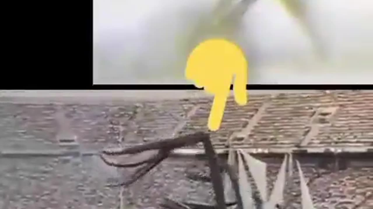 1992 Barcelona Olympic games opening ceremony...