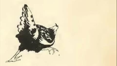 The Little Cock and The Little Hen: A Czecho-Slovak Fairy Tale (Storytime)