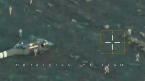 Incredible New Footage from Ukrainian Millitant