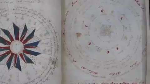 What is the Voynich Manuscript? This enigmatic text has baffled scholars for hundreds of years.