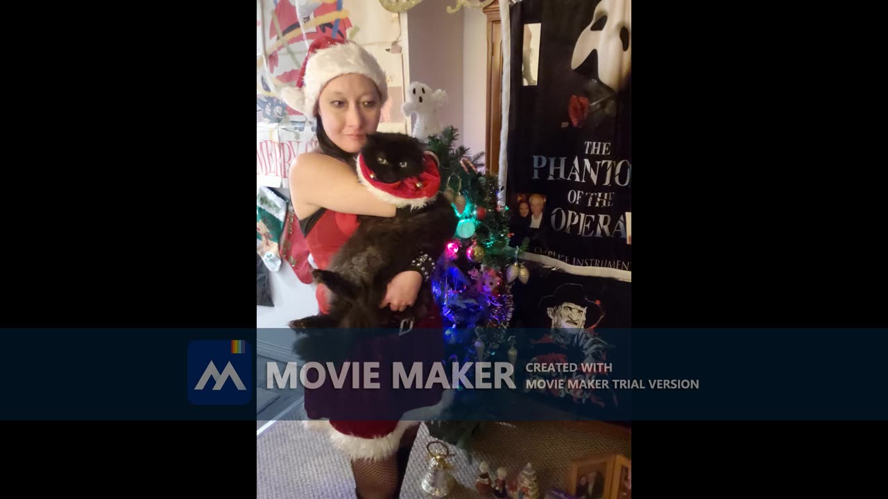 vegan christmas dinner old