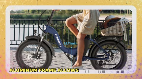 Touroll S2 Electric Bike 650W Motor 48V 15Ah Battery 25 km/h Max Speed Electric Bike