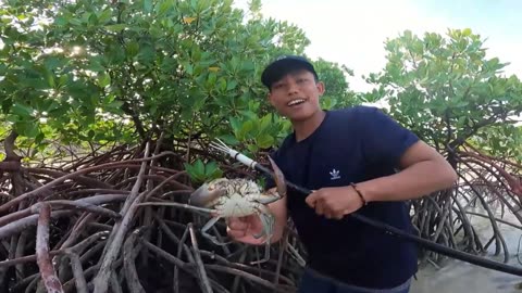 Exploring Mangroves | Catching Crabs Together - Part 2