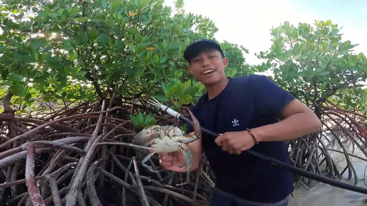 Exploring Mangroves | Catching Crabs Together - Part 2