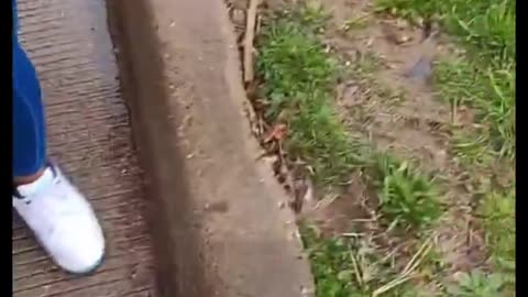 Yesterday, a Dallas mother livestreamed herself abusing her kids