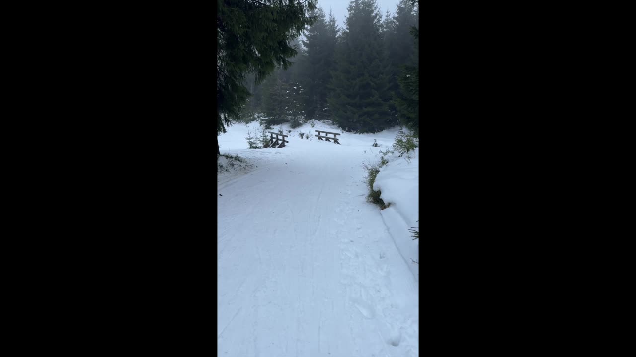 Světové strany a spánek